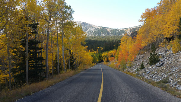 Driving into the Great Basin National Park and finally finding some color at the upper elevations